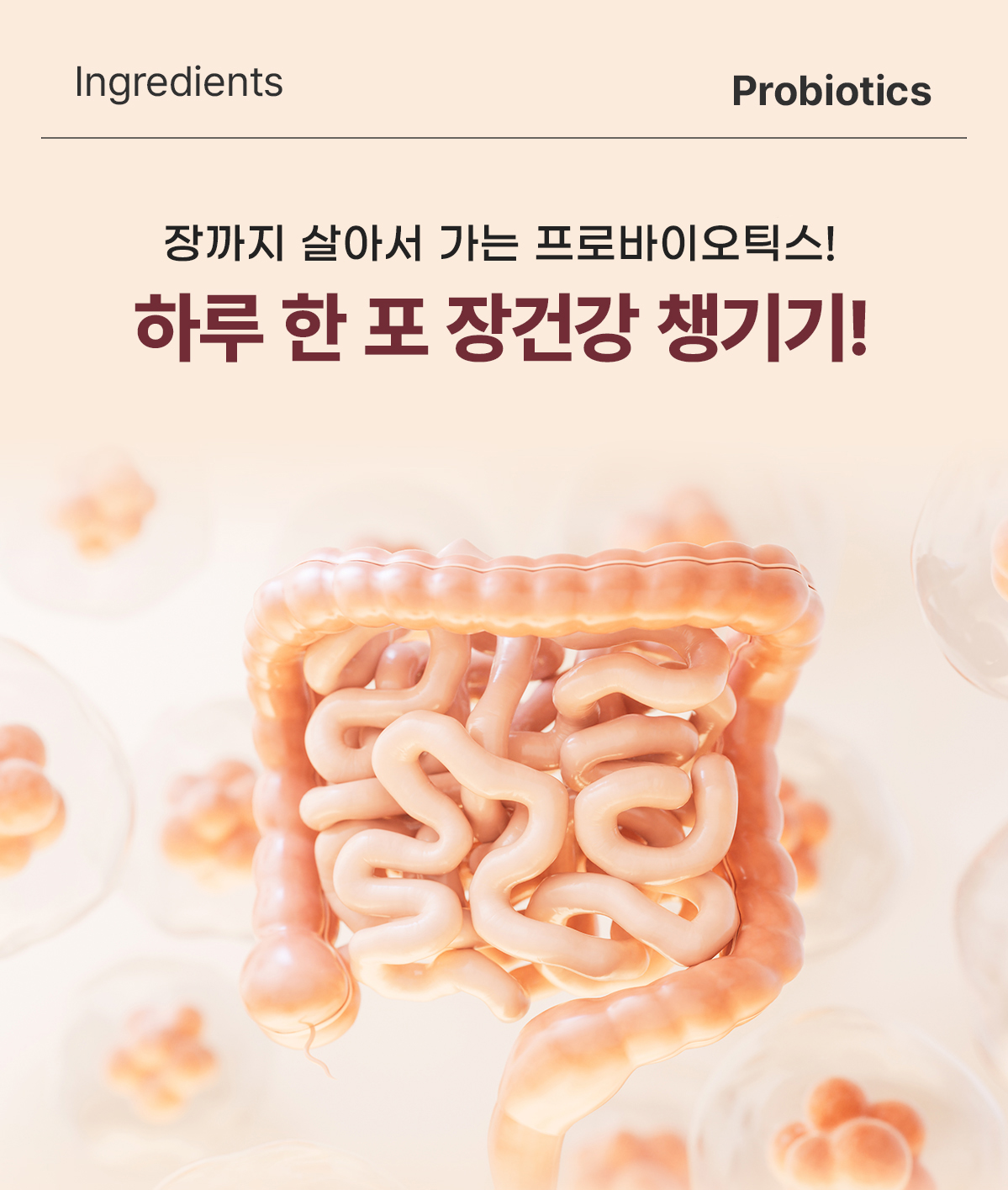777f10235b8cf24da2908c048e9ccaad_1760348386_9882.jpg